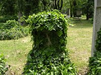 01-35 Apáthy László